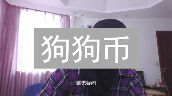 狗狗币：迷因货币背后的无限潜力与独特价值