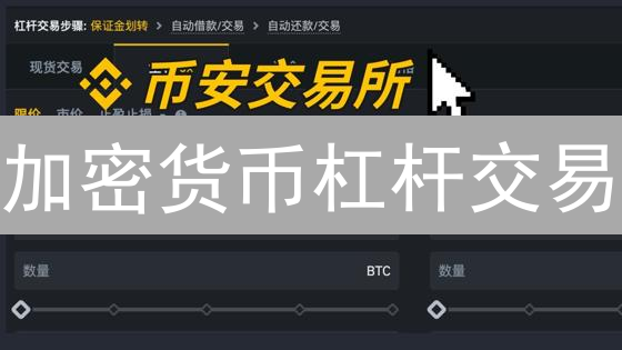 加密货币杠杆交易：高收益背后的风险迷宫与应对策略