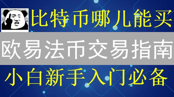 欧易杠杆交易：放大收益与风险管理全攻略