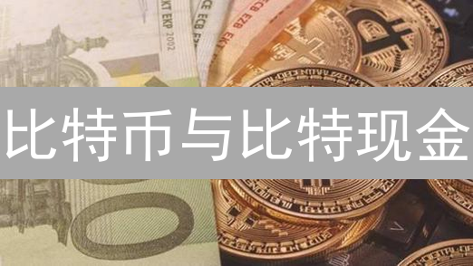 比特币与比特现金：一场关于扩展性的加密货币之争