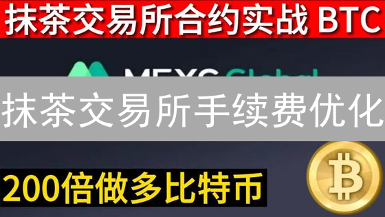 抹茶交易所手续费优化：深度解析与实战策略