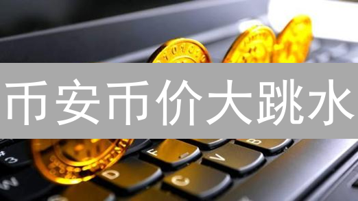 币安币价大跳水？掌握这几点，精准预测下一个风口！