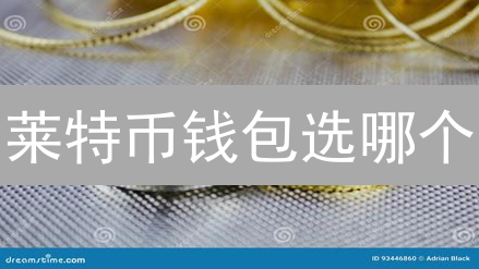 莱特币钱包选哪个？深度解析各种类型，安全便捷全攻略！