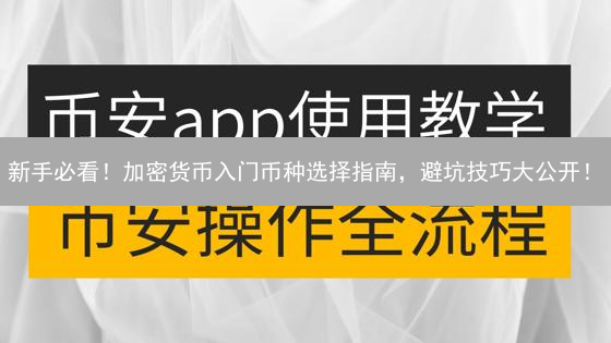 新手必看！加密货币入门币种选择指南，避坑技巧大公开！