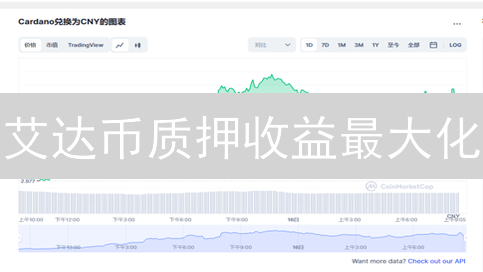艾达币质押收益最大化：新手指南与风险提示！