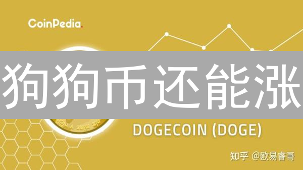 狗狗币还能涨？三大关键指标揭秘暴涨暴跌真相！