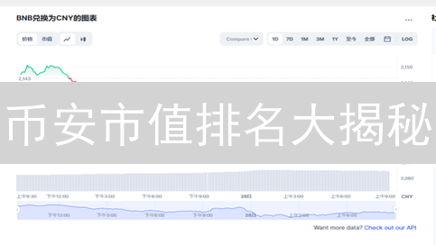 币安市值排名大揭秘：下一轮暴富机会？速看！
