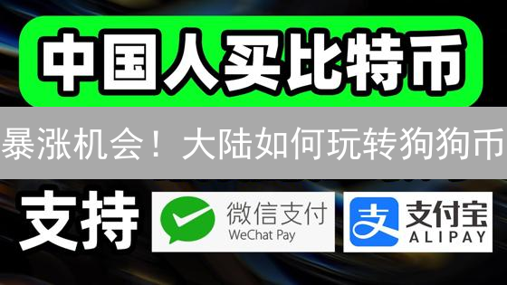 暴涨机会！大陆如何玩转狗狗币？避坑指南速览！