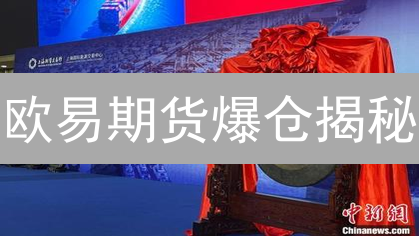 欧易期货爆仓揭秘：新手必看！掌握这些技巧稳赚不赔？