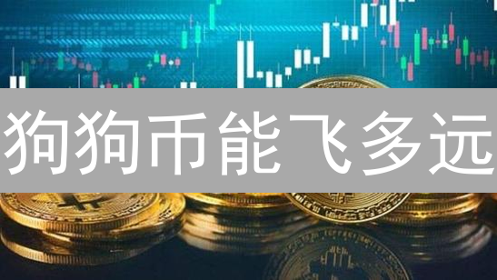 狗狗币能飞多远？智能合约缺失是阻碍还是机遇？
