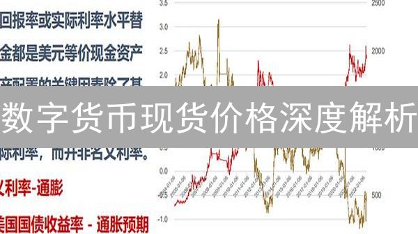 数字货币现货价格深度解析：2024年投资机会与风险对比