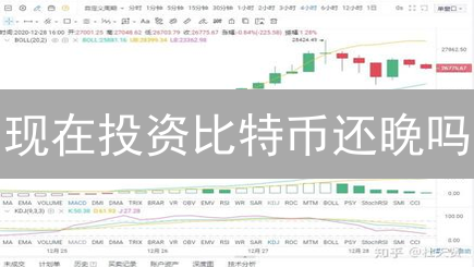 现在投资比特币还晚吗？2024年新手入门指南与未来趋势分析