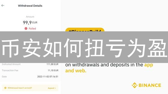 币安如何扭亏为盈？2024最新战略解读，是否有效？