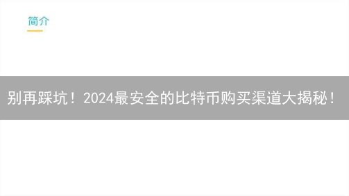 别再踩坑！2024最安全的比特币购买渠道大揭秘！