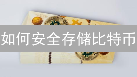 如何安全存储比特币？新手必看！2024 最新存储方案对比