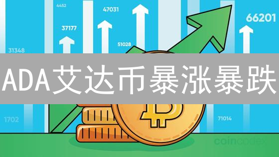 ADA艾达币暴涨暴跌？2024年还能抄底吗？专家深度解读！