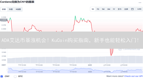 ADA艾达币暴涨机会！KuCoin购买指南，新手也能轻松入门！