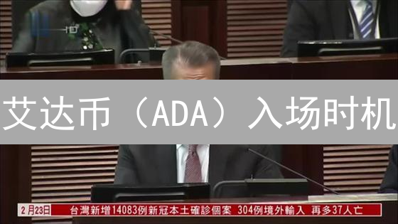 艾达币（ADA）入场时机：耐心与策略的博弈