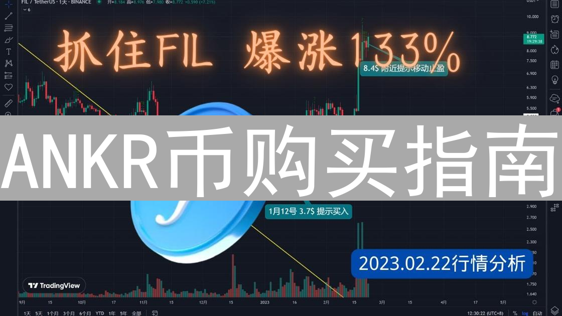 ANKR币购买指南：安全渠道选择与风险防范详解