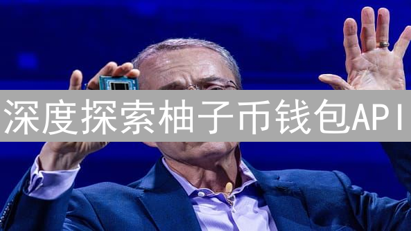 深度探索柚子币钱包API：功能、应用与无限可能