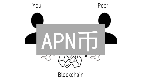 APN币：去中心化身份与数据所有权解决方案构想