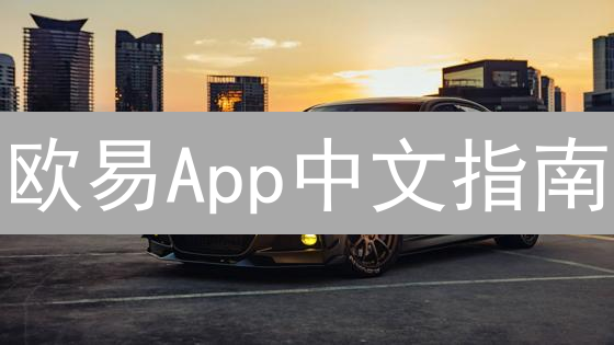 欧易App中文指南：数字资产交易入门与语言设置详解