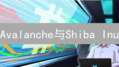Avalanche与Shiba Inu：协议与模因的加密货币之战