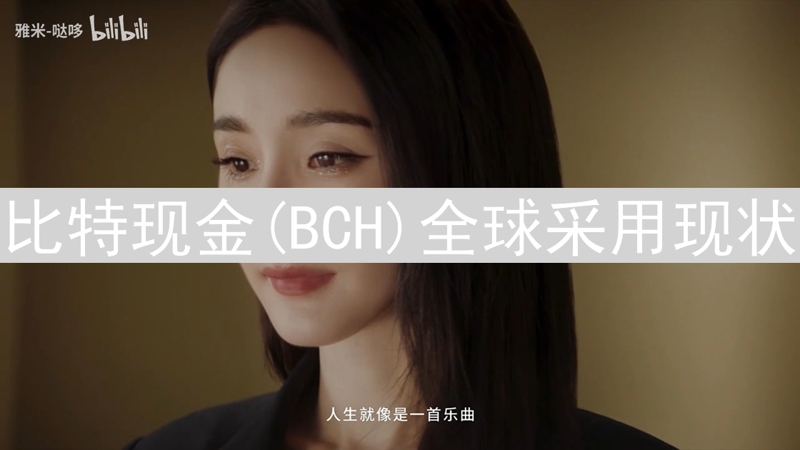 比特现金(BCH)全球采用现状：机遇、挑战与未来发展趋势分析