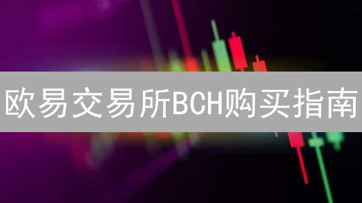 欧易交易所BCH购买指南：新手入门与交易技巧