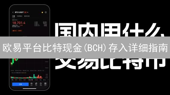 欧易平台比特现金(BCH)存入详细指南