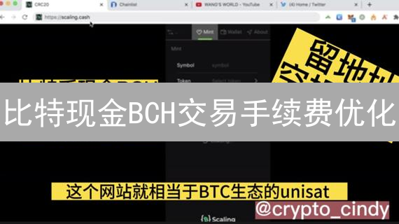 比特现金BCH交易手续费优化：省钱秘籍与实用技巧分享