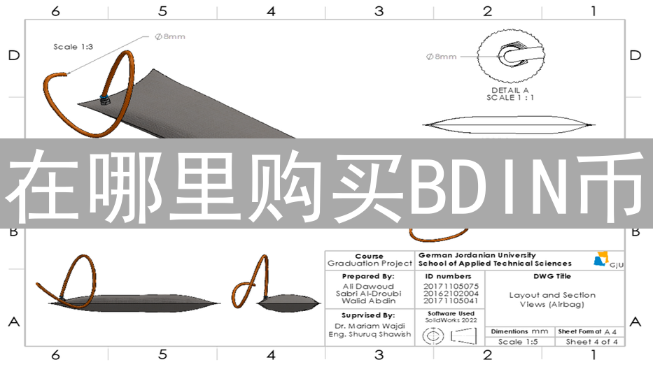 在哪里购买BDIN币？详细购买途径和技巧介绍