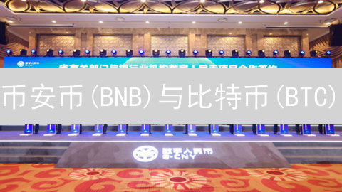 币安币(BNB)与比特币(BTC)：加密货币巨头的对比分析