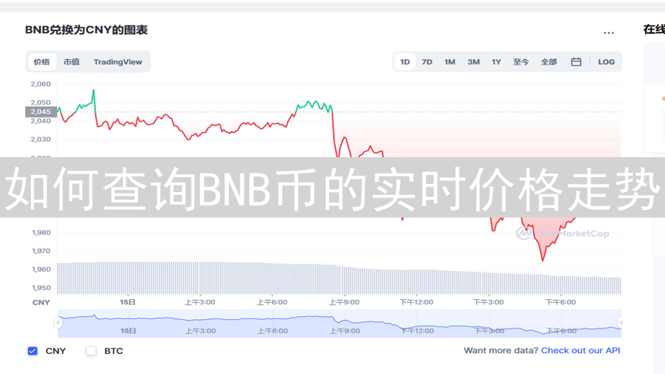 如何查询BNB币的实时价格走势