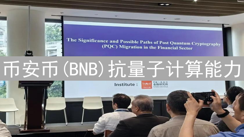 币安币(BNB)抗量子计算能力：现状、挑战与未来展望