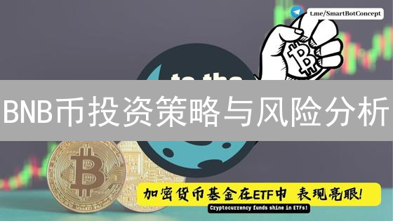 BNB币投资策略与风险分析：币安币投资指南