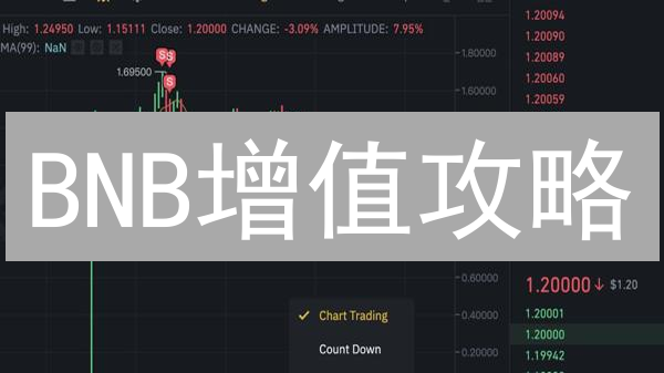 BNB增值攻略：掌握币安币优惠，玩转币安生态！