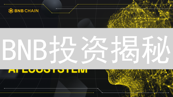 BNB投资揭秘：下一个百倍币？四大优势与五大风险深度剖析！