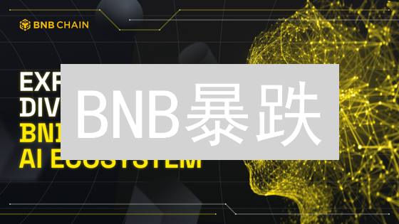 BNB暴跌？别慌！掌握这些策略，逆势翻盘！