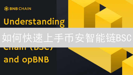 如何快速上手币安智能链BSC？新手交易DeFi项目教程【2024最新指南】