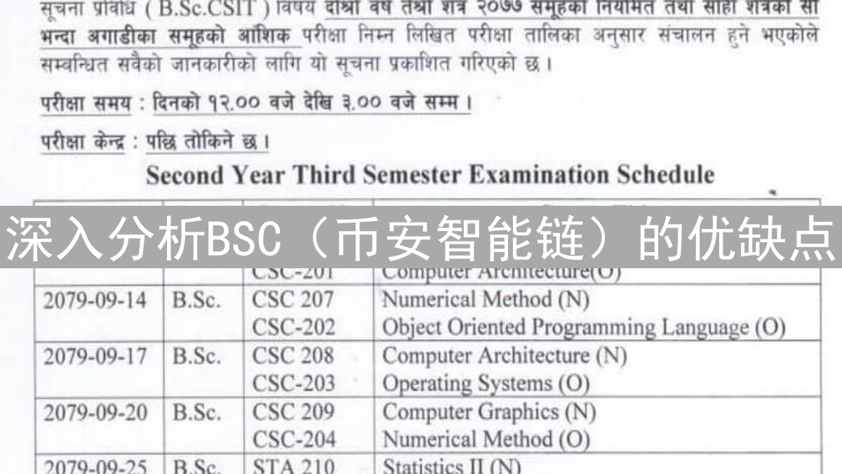 深入分析BSC（币安智能链）的优缺点