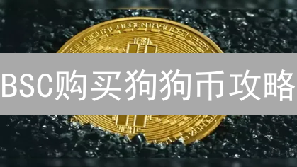 BSC购买狗狗币攻略：新手也能轻松上手？速看！