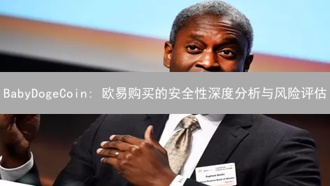 BabyDogeCoin: 欧易购买的安全性深度分析与风险评估