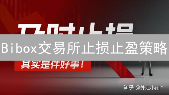 Bibox交易所止损止盈策略：保护资金，最大化收益