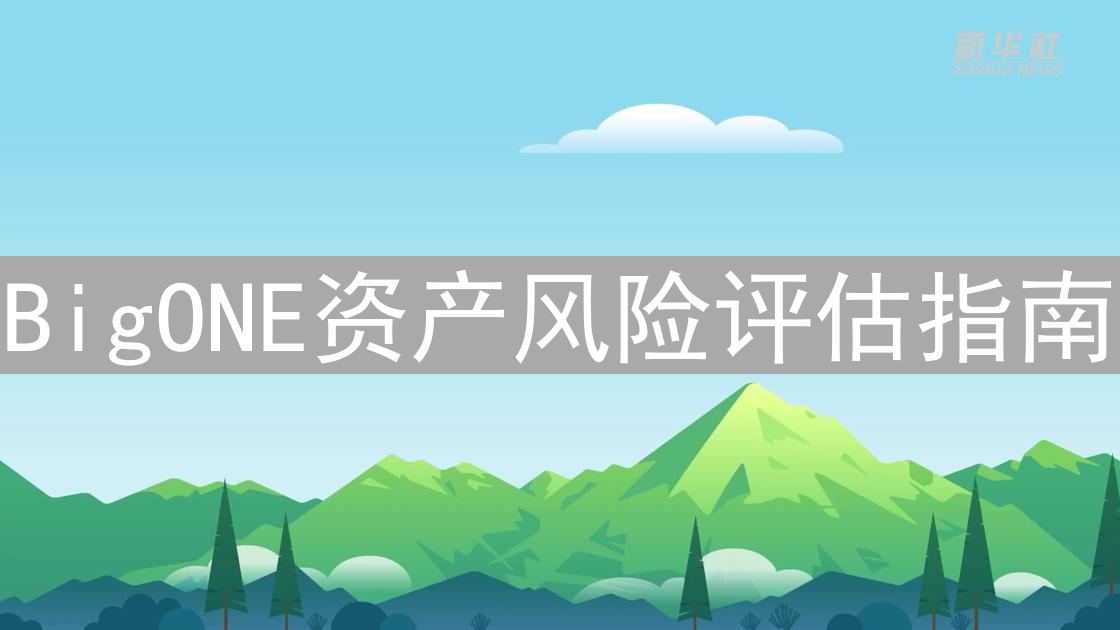 BigONE资产风险评估指南：数字资产安全保障