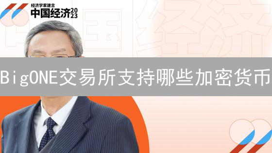 BigONE交易所支持哪些加密货币？交易对深度分析及选择标准