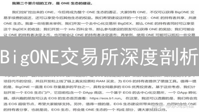 BigONE交易所深度剖析：用户褒贬不一背后隐藏的真相！