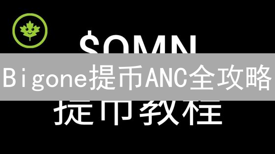 Bigone提币ANC全攻略：新手也能轻松搞定？