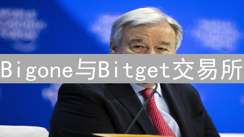 Bigone与Bitget交易所：安全性与可靠性深度对比分析
