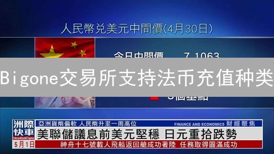 Bigone交易所支持法币充值种类：全球货币数字盛宴